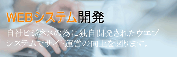 システム開発