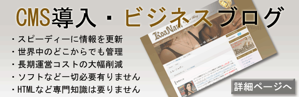 CMS・ビジネスブログでサイトへの訪問者数上昇